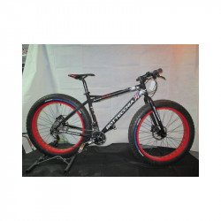 Fatbike Bottechia