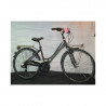 Vélo ville Bottechia