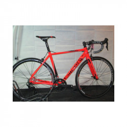 Vélo de course Bottecchia